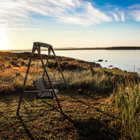 在线手机号轰炸