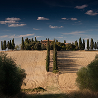 网络手机号在线发送